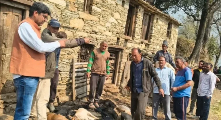 दशज्यूला क्षेत्र में गुलदार का आतंक: जरम्वाड़ ग्राम पंचायत के ढुंग तोक में 17 बकरियों को बनाया शिकार