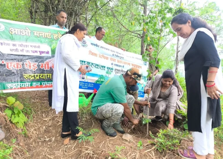 वन महोत्सव सप्ताह के समापन पर डीएलएसए रुद्रप्रयाग का वृक्षारोपण अभियान, पर्यावरण संरक्षण का लिया संकल्प