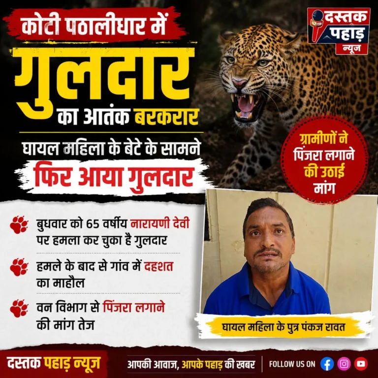 कोटी पठालीधार में गुलदार का आतंक बरकरार, घायल महिला के बेटे के सामने फिर आया गुलदार; पिंजरा लगाने की मांग, विधायक आशा नौटियाल ने प्रमुख वन सचिव से की बात