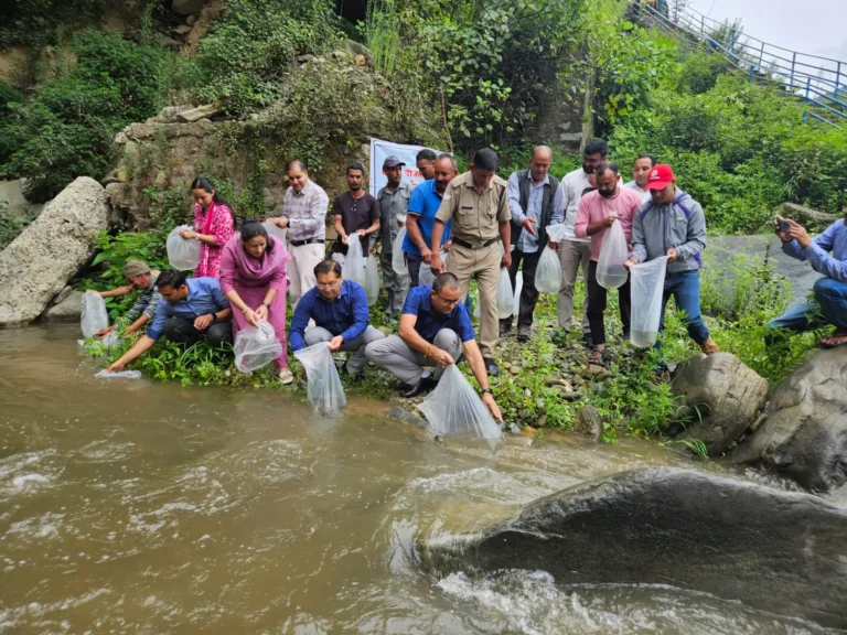 राष्ट्रीय मत्स्य पालक दिवस पर मन्दाकिनी की सहायक सौरगाड़ नदी में छोड़े गए 20 हजार महाशीर मत्स्य बीज